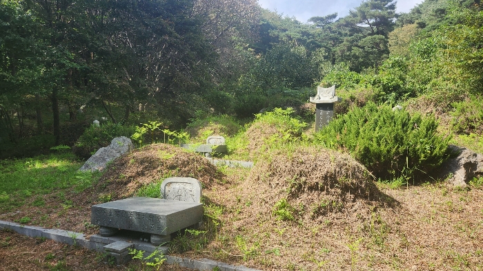 2024타경4329
