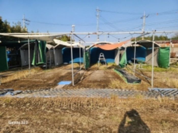 본건 2 지상에 소재한 제시외 바베큐장