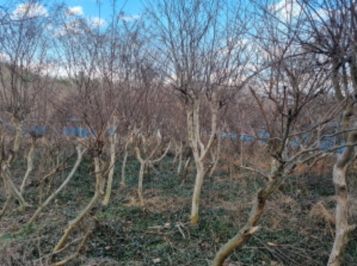 물건 4번 전경