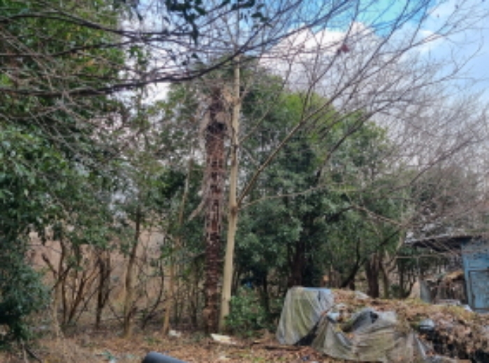 물건 6번 서측 전경 (지상에 수목이 식재됨)