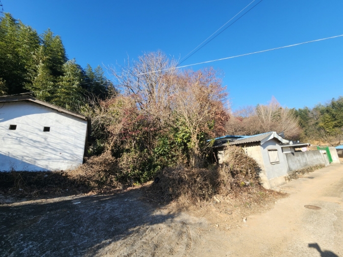 기호(3) 전경