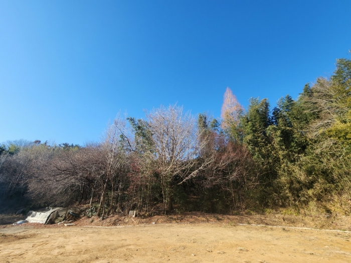 기호(6,7) 전경