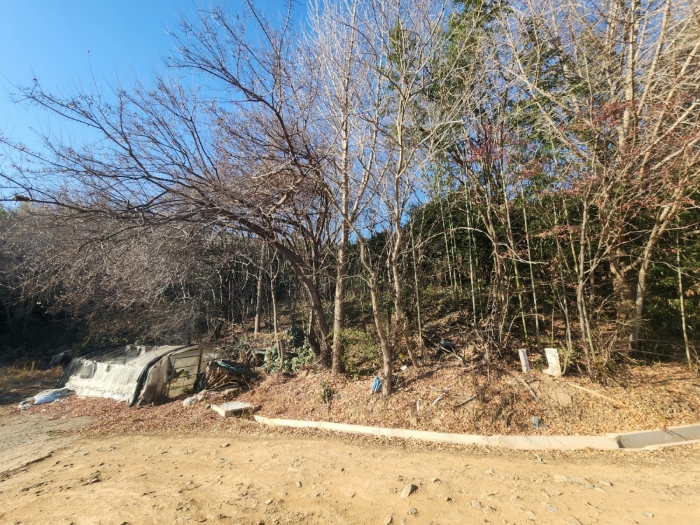 기호(7) 전경