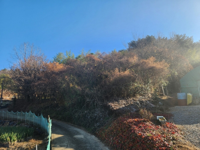 기호(12) 전경