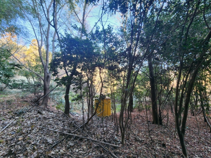 기호(6) 전경