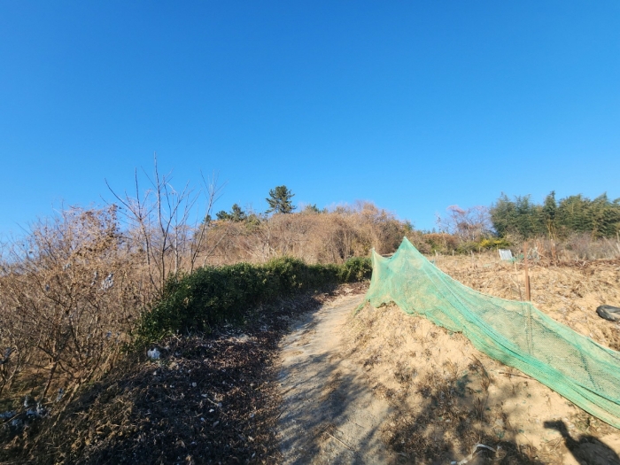 기호(8) 전경