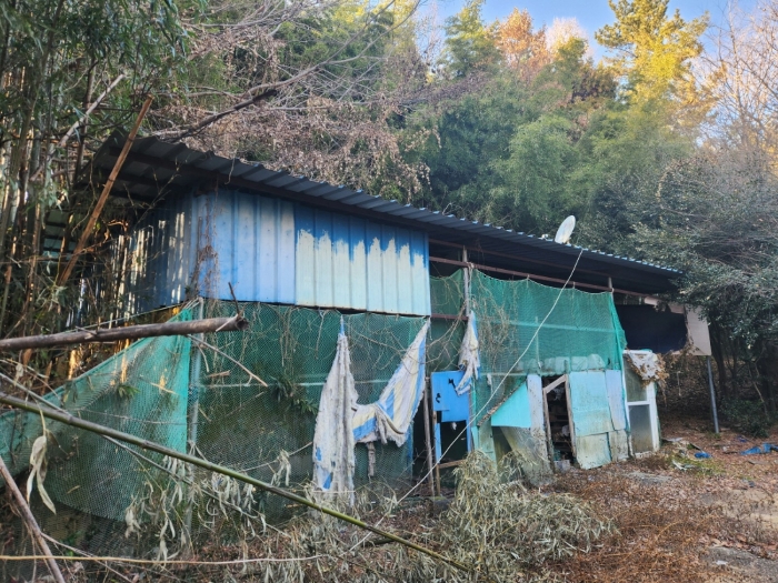 기호(6) 위 지상 제시외건물(ㄱ) 전경