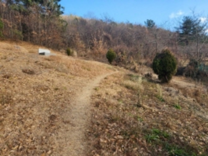 본건 2 전경