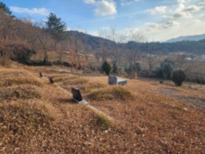 본건 2 전경-지상 분묘