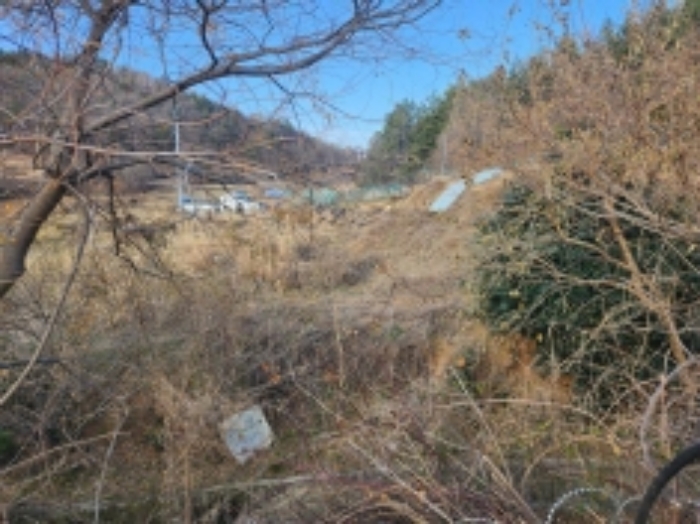 본건 1 전경