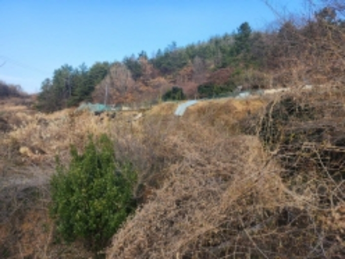 본건 1 전경