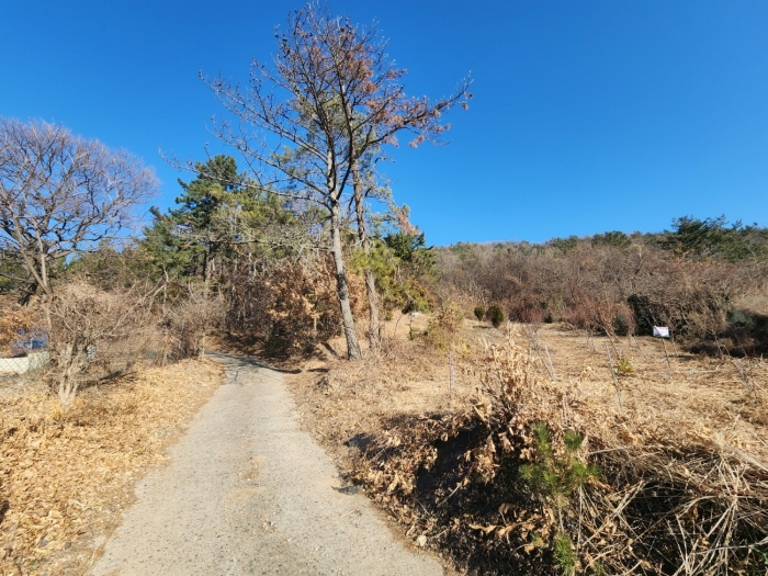 기호(2) 전경