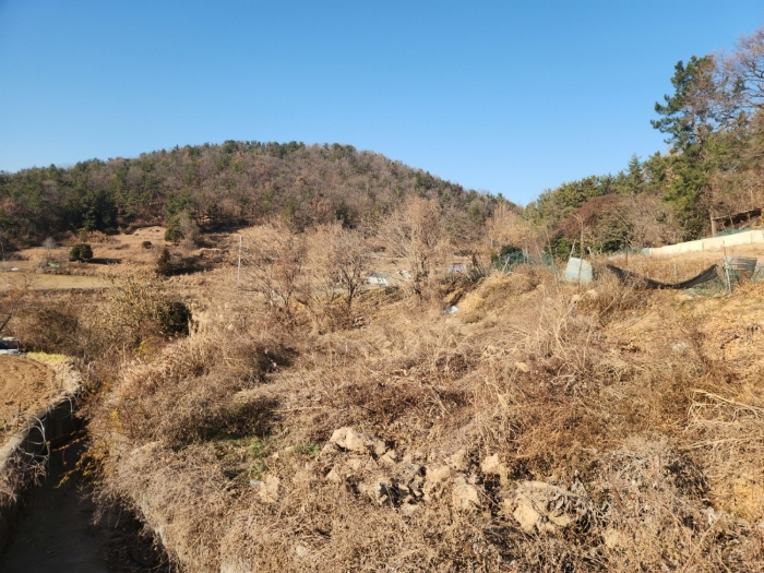 기호(1) 전경