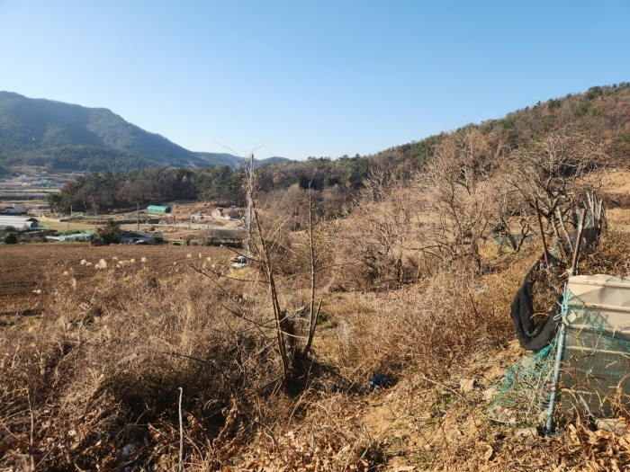 기호(1) 전경