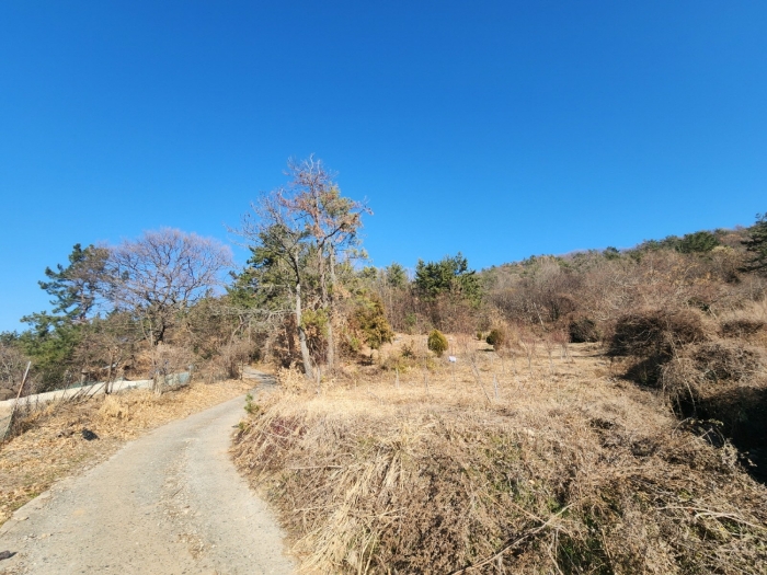 기호(2) 주위환경