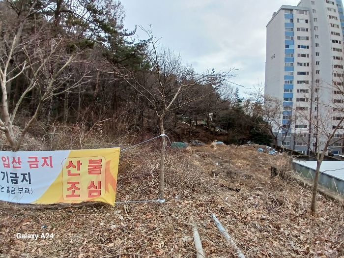 2024타경50872