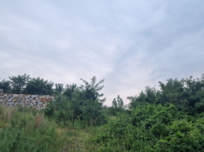 본건 2항 전경
