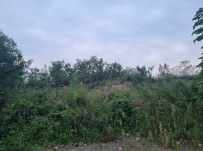 본건 2항 전경