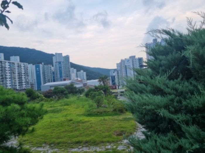 본건 19항 대지의 모습 (서측경계에서 바라본 모습)