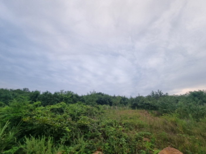 본건 16항 동측 전경 (지면상 아래인 북동측에서 올려다본 모습)