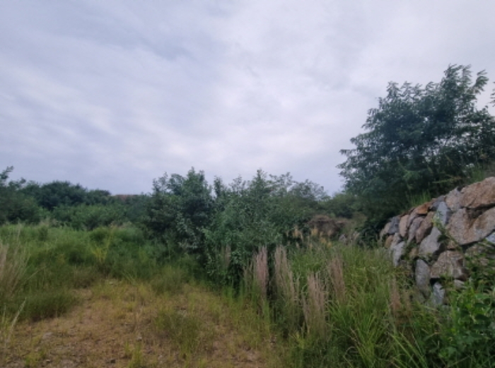 본건 16항 북측 경계 및 전경