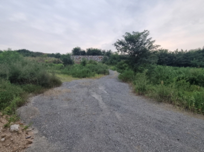 본건 8항 서측 전경 (동측에서 바라본 전경이며 동-서로 이어진 비포장로로 보여짐