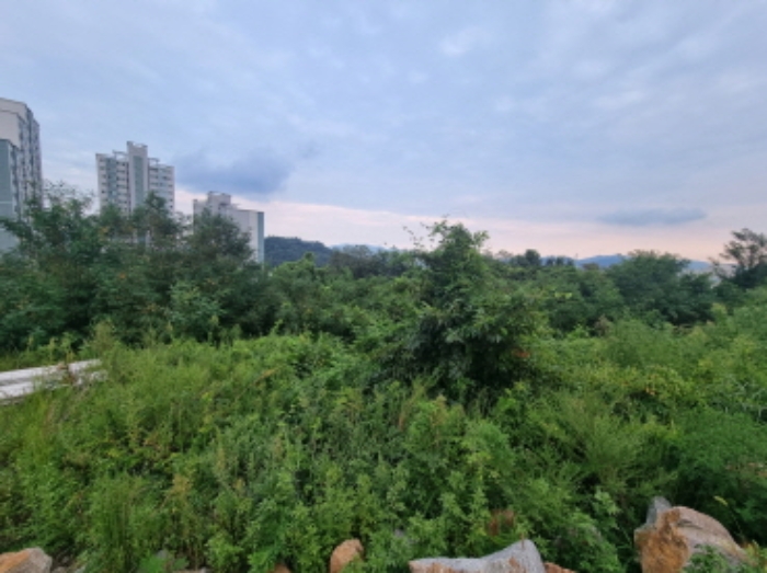 본건 17항 동측 전경