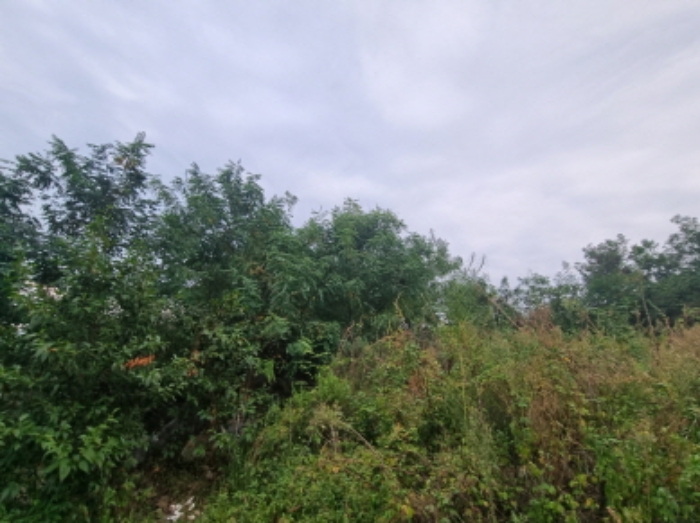 본건 15항 북측 전경