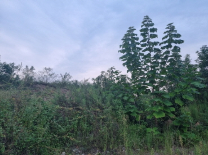 본건 3항 전경