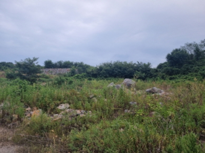 본건 6항 북측 경계 및 전경 (동측경계에서 바라본 모습)