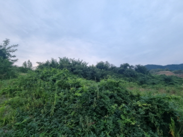 본건 6항 전경