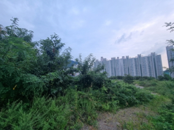 본건 6항 남측 경계 및 전경