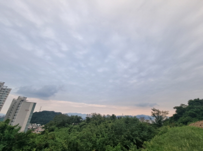 본건 18항 동측 전경