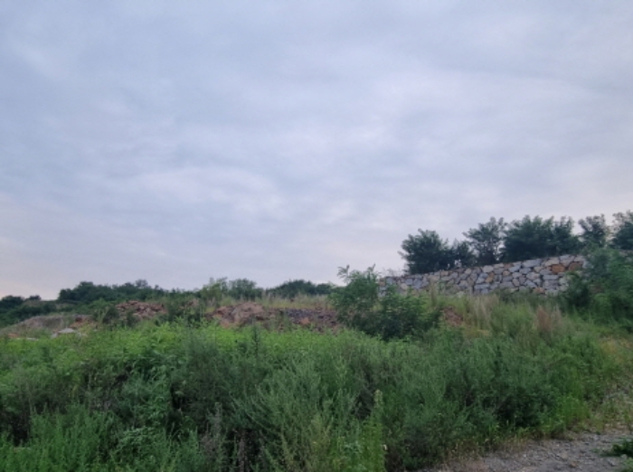본건 9항 전경