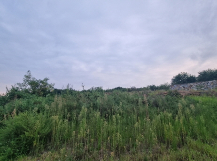 본건 12항 서측 전경