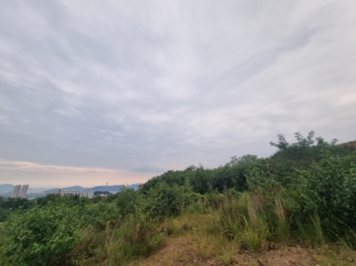 본건 16항 남측 전경
