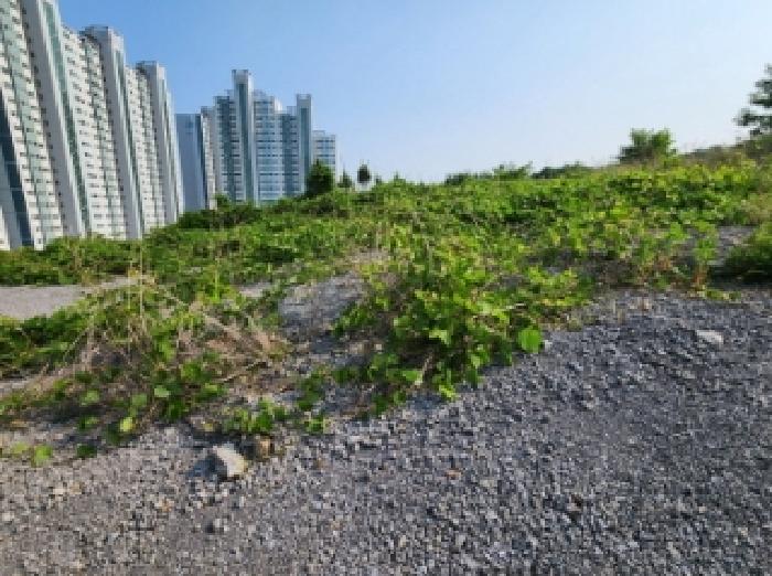 본건 30. 부동산 전경