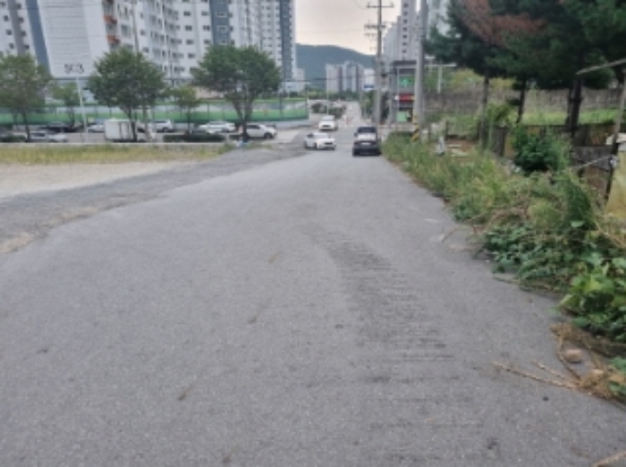 본건 1항 도로의 모습