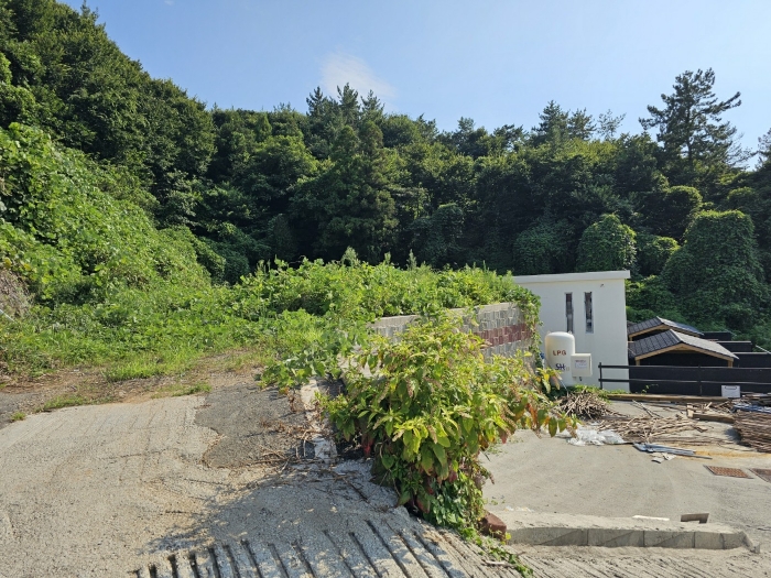 토지(3) 전경