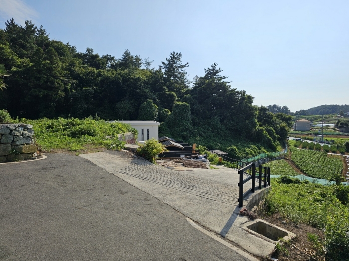 토지(4) 전경