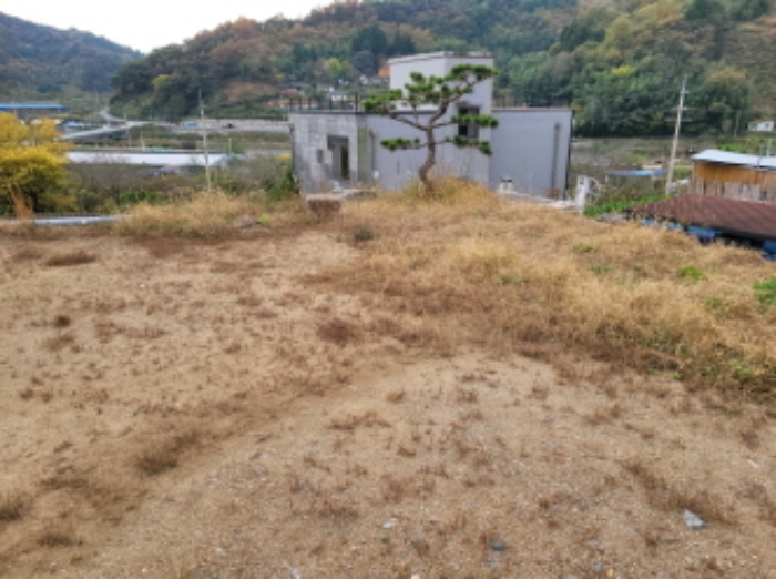 물건6번, 전경으로 나대지 상태임.