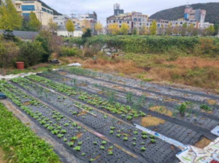 본건 서측 전경