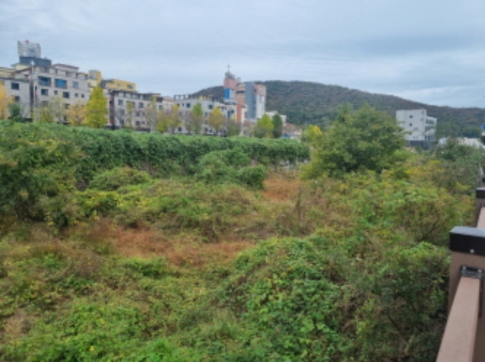 본건 전경