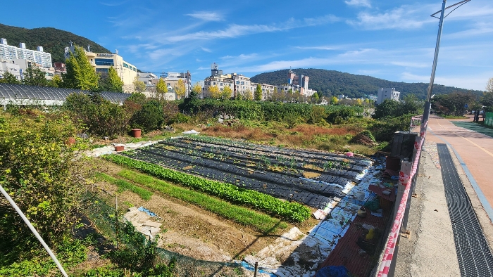 본건 기호(1) 북서측