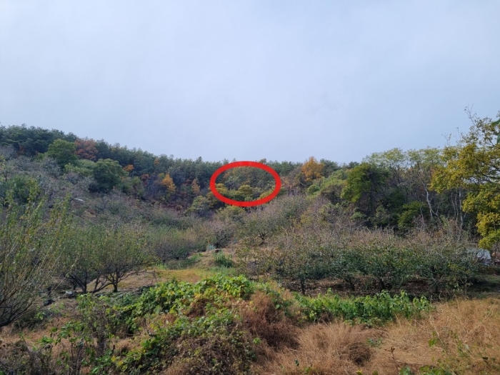 대상 물건 주위 전경