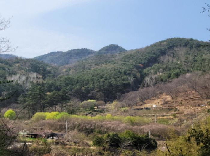 물건1번, 주변 전경으로 임야임.