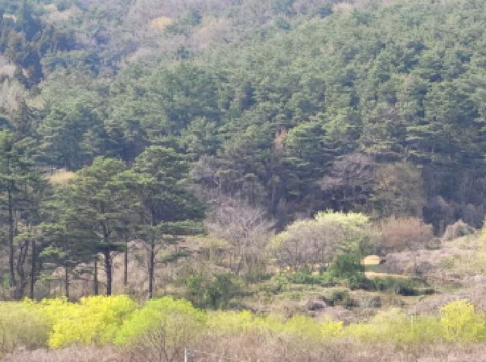 물건1번, 임야 및 묵전 상태임.