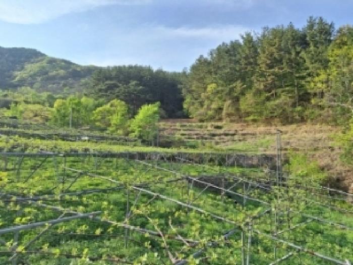 물건2,3번 주변전경