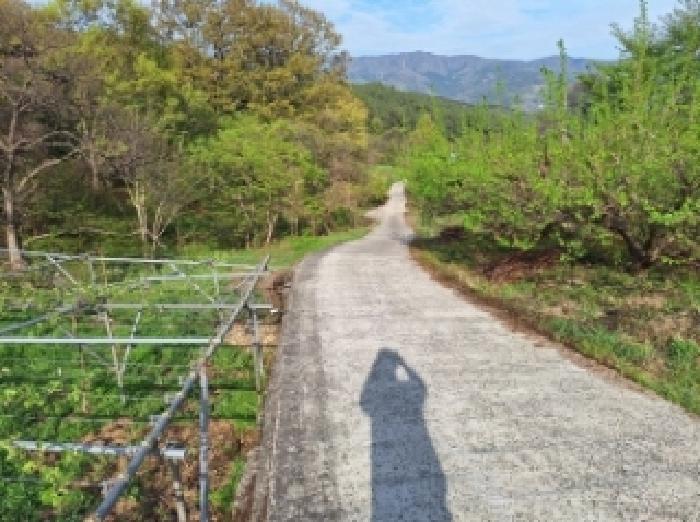 물건2,3번 주변전경, 진입로