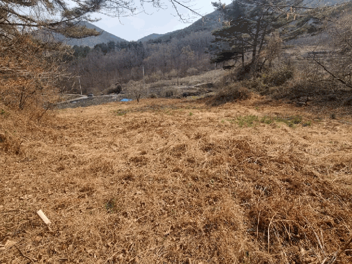 일련번호 2